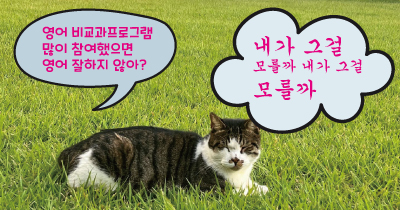 <strong>[창의융합대학] 2025-2 영어 비교과프로그램</strong>